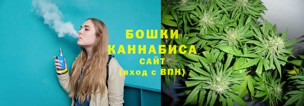 стаф Кинешма